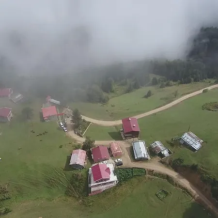 Gumul